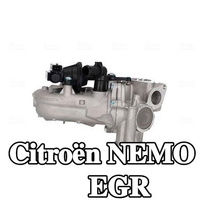 NISSENS مبرد EGR مع حشيات/أختام, مع جهاز استشعار, مع ممر جانبي للفراغ — Citroën Nemo