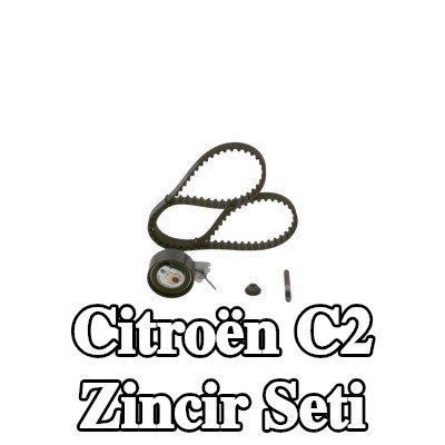 BOSCH Zincir Tahrik Kiti Diş Sayısı: 100, 953mm — Citroën C2