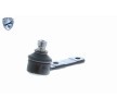 VAICO Rulman Eklemi EXPERT KITS +, Ön Aks — Ford Escort (8)