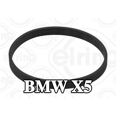 ELRING حشية, غلاف مشعب السحب غلاف الخانق — BMW X5