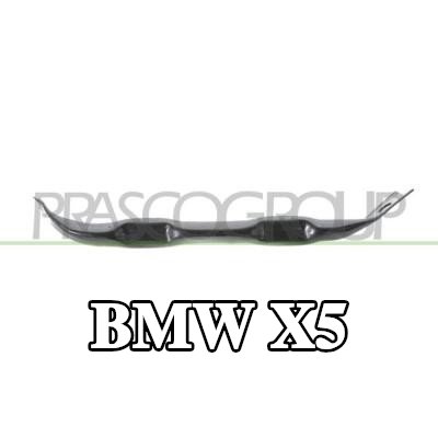 PRASCO حامل، شبكة المبرد — BMW X5