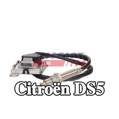 FAST مستشعر أكاسيد النيتروجين — 2012 Citroën Ds5