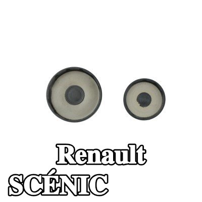 FAST سدادة الصقيع — Renault Scénic