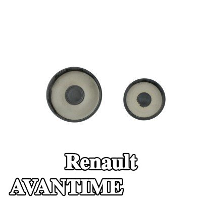FAST سدادة الصقيع — Renault Avantime