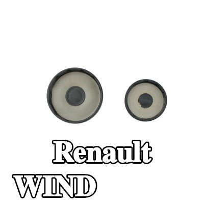 FAST سدادة الصقيع — Renault Wind