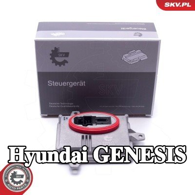 ESEN SKV وحدة التحكم في الإضاءة — Hyundai Genesis