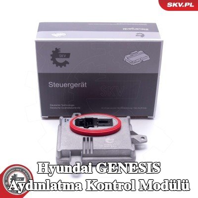 ESEN SKV Aydınlatma kontrol modülü — Hyundai Genesis