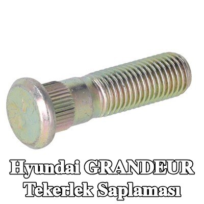 FEBI BILSTEIN Tekerlek Saplaması — Hyundai Grandeur