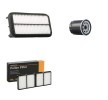 RIDEX Filtre kiti — Toyota Paseo (1)