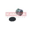KAMOKA Alternatör debriyaj kasnağı — Ford Sierra (1)
