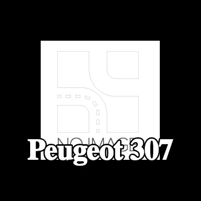 LRT المحول الحفاز المتعدد — Peugeot 307