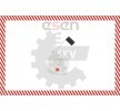 ESEN SKV Elektrikli yakıt besleme ünitesi, Dizel — Nissan Primastar (3)