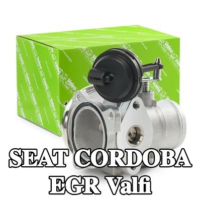 VALEO Contalı/sızdırmazlık elemanlı EGR valfi — 2002 SEAT Cordoba