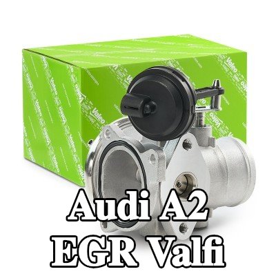 VALEO Contalı/sızdırmazlık elemanlı EGR valfi — Audi A2