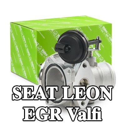 VALEO Contalı/sızdırmazlık elemanlı EGR valfi — 2002 SEAT Leon