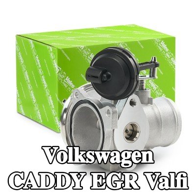 VALEO Contalı/sızdırmazlık elemanlı EGR valfi — 2000 Volkswagen Caddy