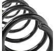 SACHS Helezon yay — 2012 Renault Megane (4)