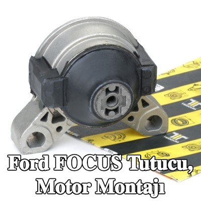 TEDGUM Tutucu, motor montajı Sağ, Sağ ön — 2002 Ford Focus