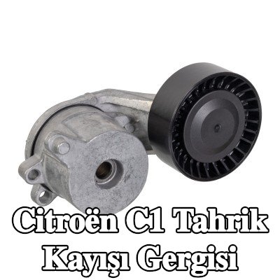 FEBI BILSTEIN Tahrik kayışı gergisi — Citroën C1