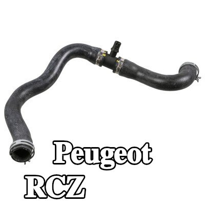 FEBI BILSTEIN خرطوم المبرد السفلي, مع مشابك — Peugeot Rcz