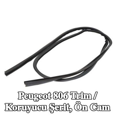BLIC Trim / Koruyucu Şerit, ön cam — 1994 Peugeot 806