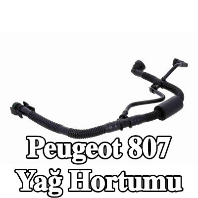VAICO Yağ hortumu — 2002 Peugeot 807