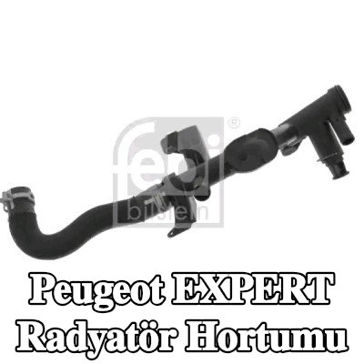 FEBI BILSTEIN Kelepçeli radyatör hortumu — Peugeot Expert