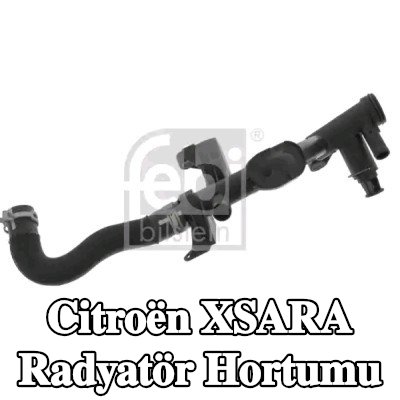 FEBI BILSTEIN Kelepçeli radyatör hortumu — 2011 Citroën Xsara