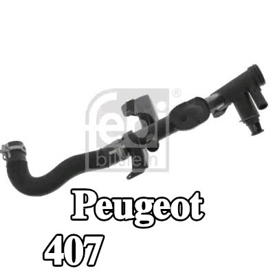 FEBI BILSTEIN خرطوم المبرد مع المشابك — 2004 Peugeot 407