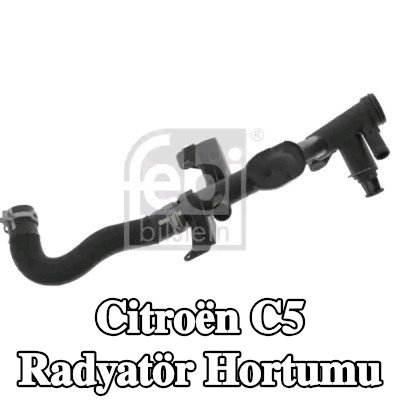 FEBI BILSTEIN Kelepçeli radyatör hortumu — 2004 Citroën C5