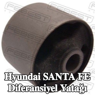 FEBEST Diferansiyel yatağı, ön — 2000 Hyundai Santa Fe