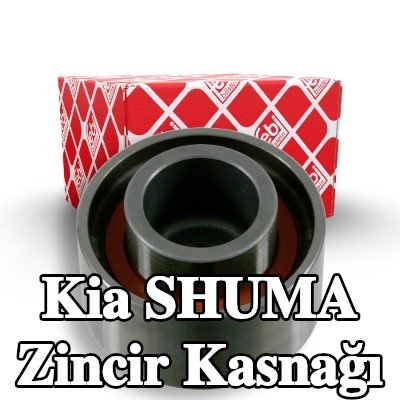 FEBI BILSTEIN Zincir kasnağı — Kia Shuma