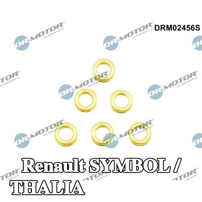 DR.MOTOR AUTOMOTIVE واقي حراري، نظام الحقن — 2000 Renault Symbol / Thalia