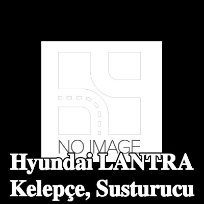 EBERSPÄCHER Kelepçe, susturucu — Hyundai Lantra