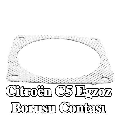 WALKER Egzoz borusu contası — 2012 Citroën C5