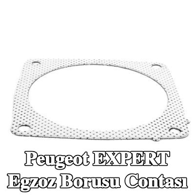 WALKER Egzoz borusu contası — Peugeot Expert