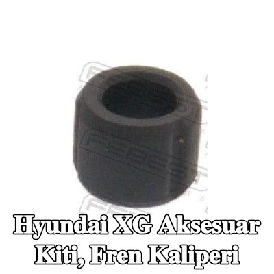 FEBEST Aksesuar Seti, ön aks fren kaliperi — Hyundai Xg