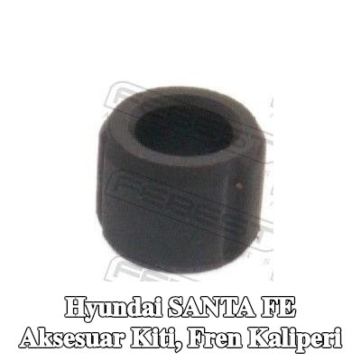 FEBEST Aksesuar Seti, ön aks fren kaliperi — Hyundai Santa Fe