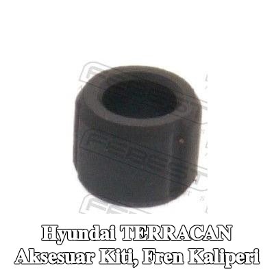 FEBEST Aksesuar Seti, ön aks fren kaliperi — Hyundai Terracan