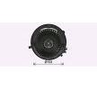 AVA COOLING SYSTEMS Kontrol ünitesi olmayan ısıtıcı fan motoru, direnç olmadan — Audi Tt (2)