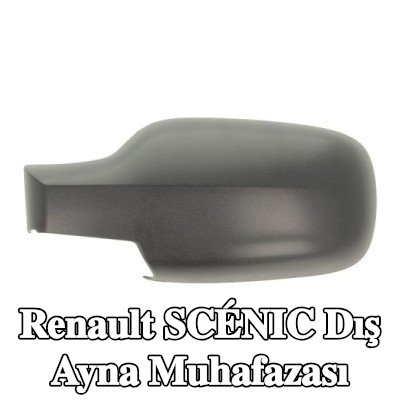 BLIC Dış ayna muhafazası — 2003 Renault Scénic