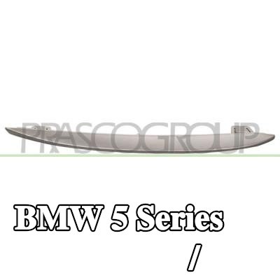 PRASCO شريط تزيين / حماية, شبكة المبرد اليمنى — 2012 BMW 5 Series