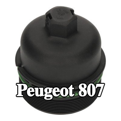 FEBI BILSTEIN غطاء مبيت فلتر الزيت مع حلقة مانعة للتسرب — Peugeot 807