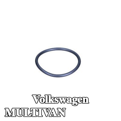 VAG حشية، مضخة المياه — 2010 Volkswagen Multivan