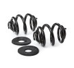EIBACH Süspansiyon kiti, coil springs Set of 2 springs, Pro-Kit — 2000 Volkswagen Transporter (2)