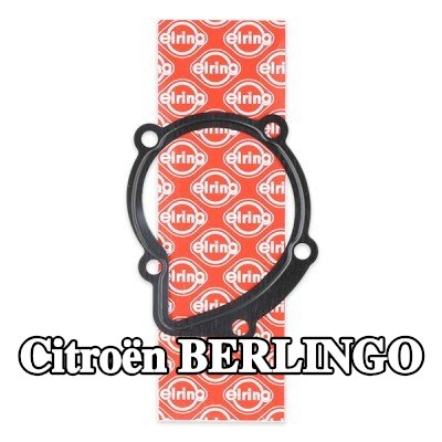 ELRING حشية، مضخة المياه — 2000 Citroën Berlingo