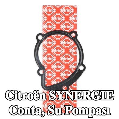 ELRING Conta, su pompası — Citroën Synergie