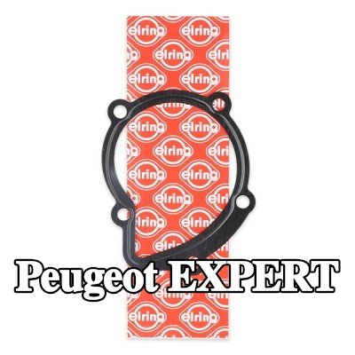 ELRING حشية، مضخة المياه — 2000 Peugeot Expert