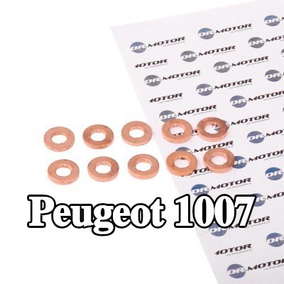 DR.MOTOR AUTOMOTIVE واقي حراري، نظام الحقن — Peugeot 1007