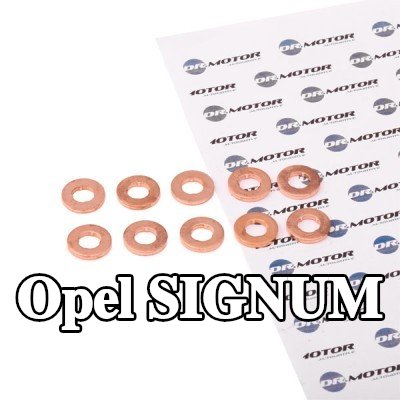 DR.MOTOR AUTOMOTIVE واقي حراري، نظام الحقن — Opel Signum